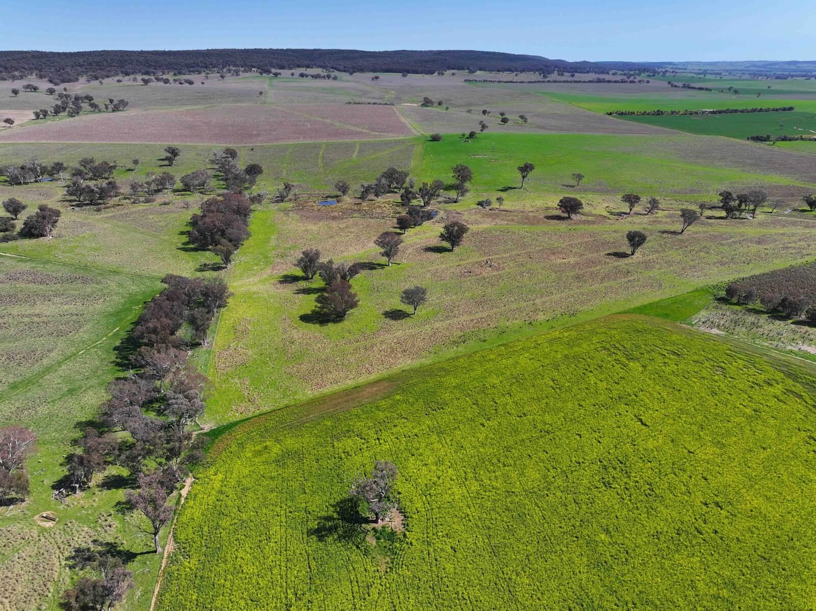 Most Expensive Farms For Sale In Australia