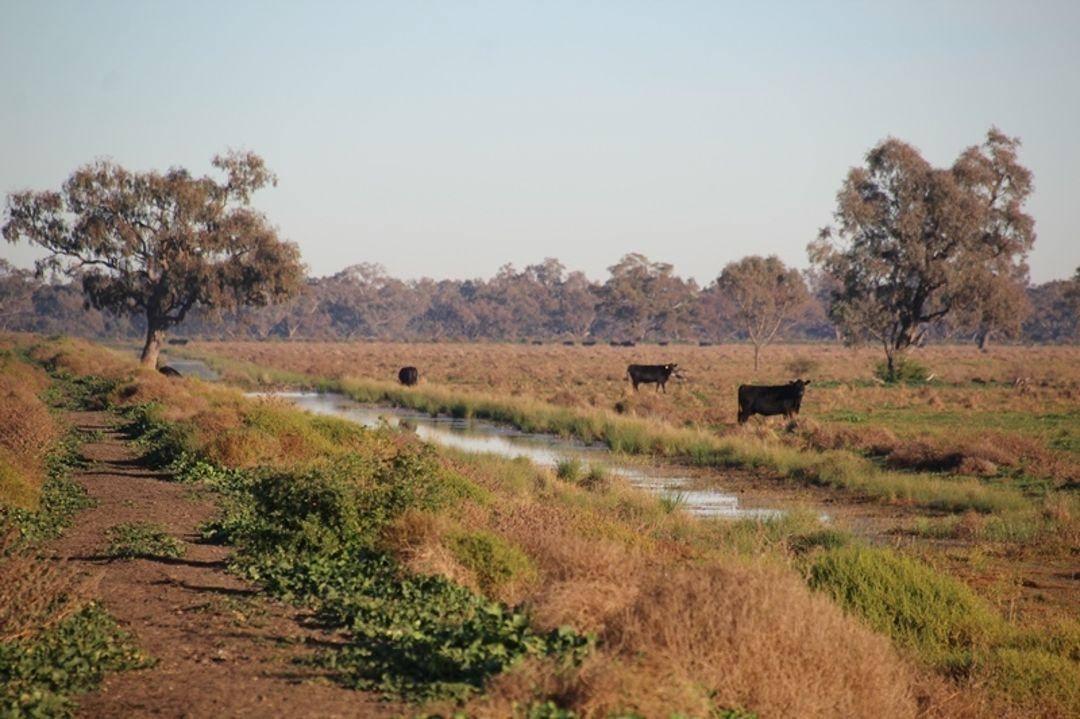 Most Expensive Rural Properties For Sale NSW