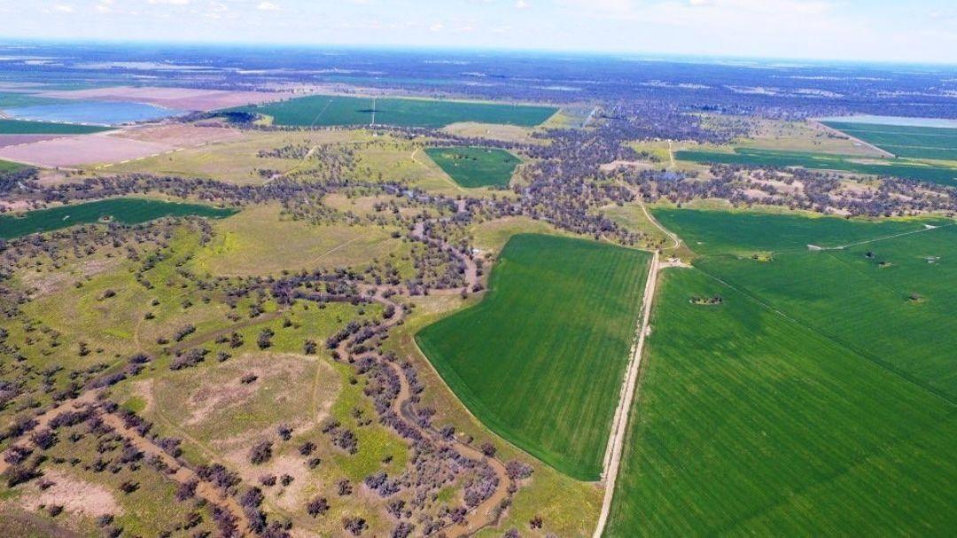 Most Expensive Rural Properties For Sale NSW