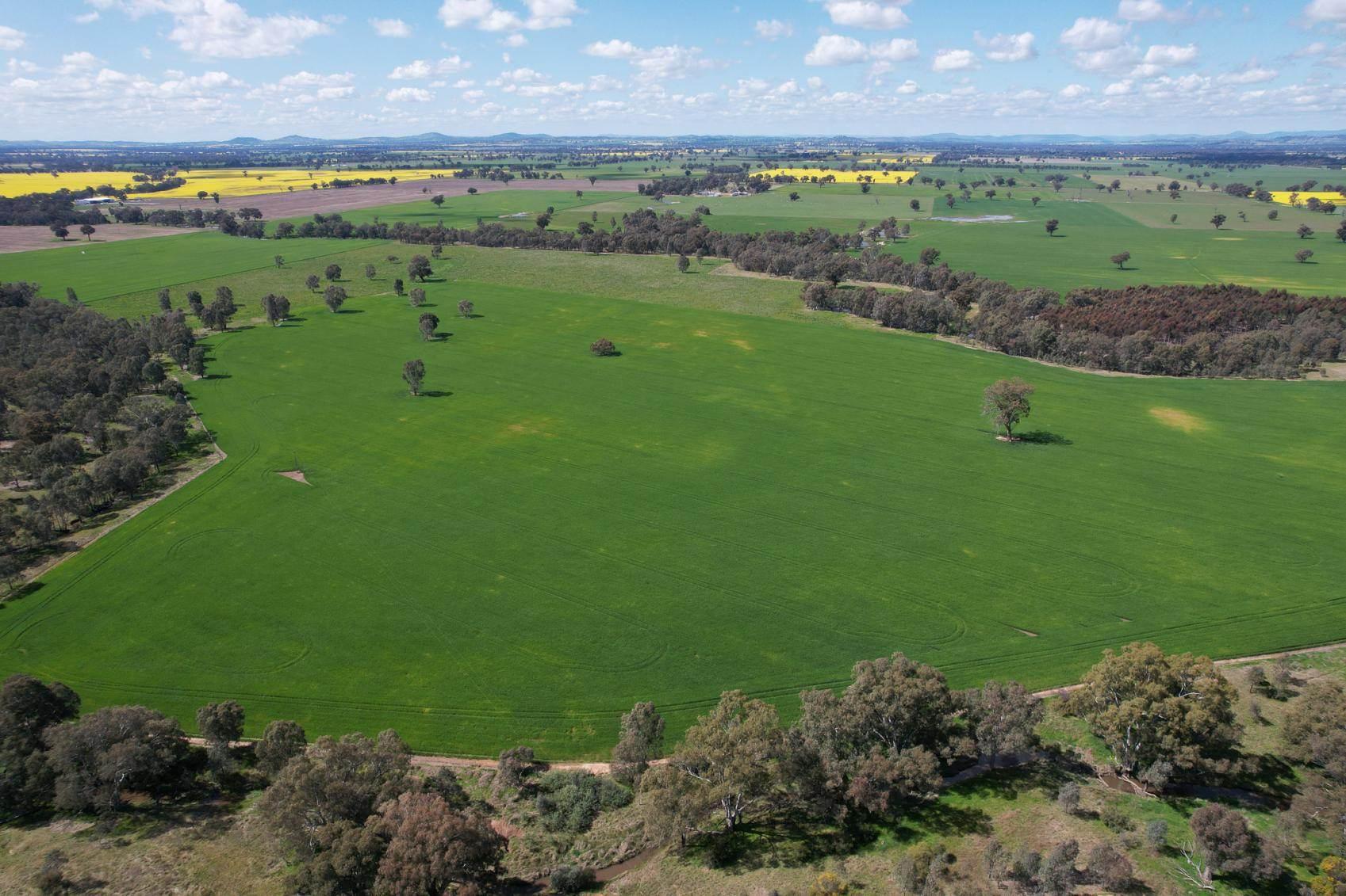 Most Expensive Rural Properties For Sale NSW