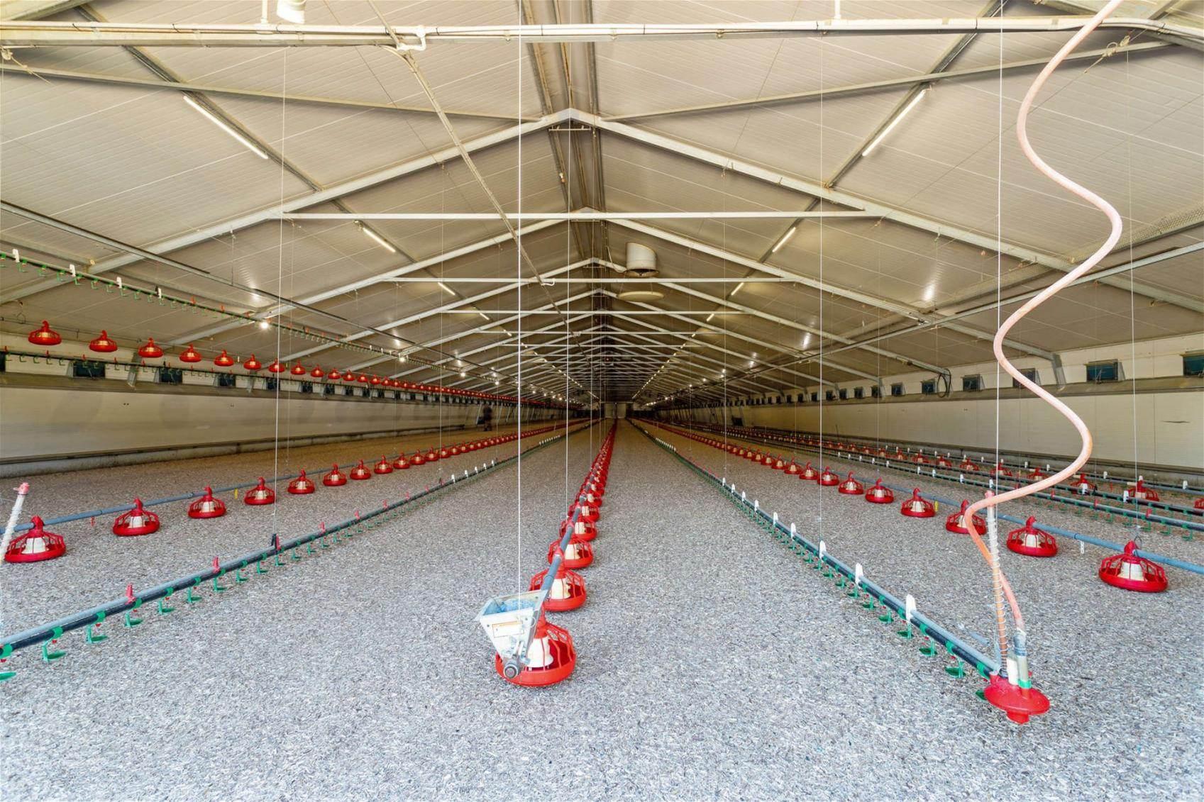 Poultry Farms For Sale