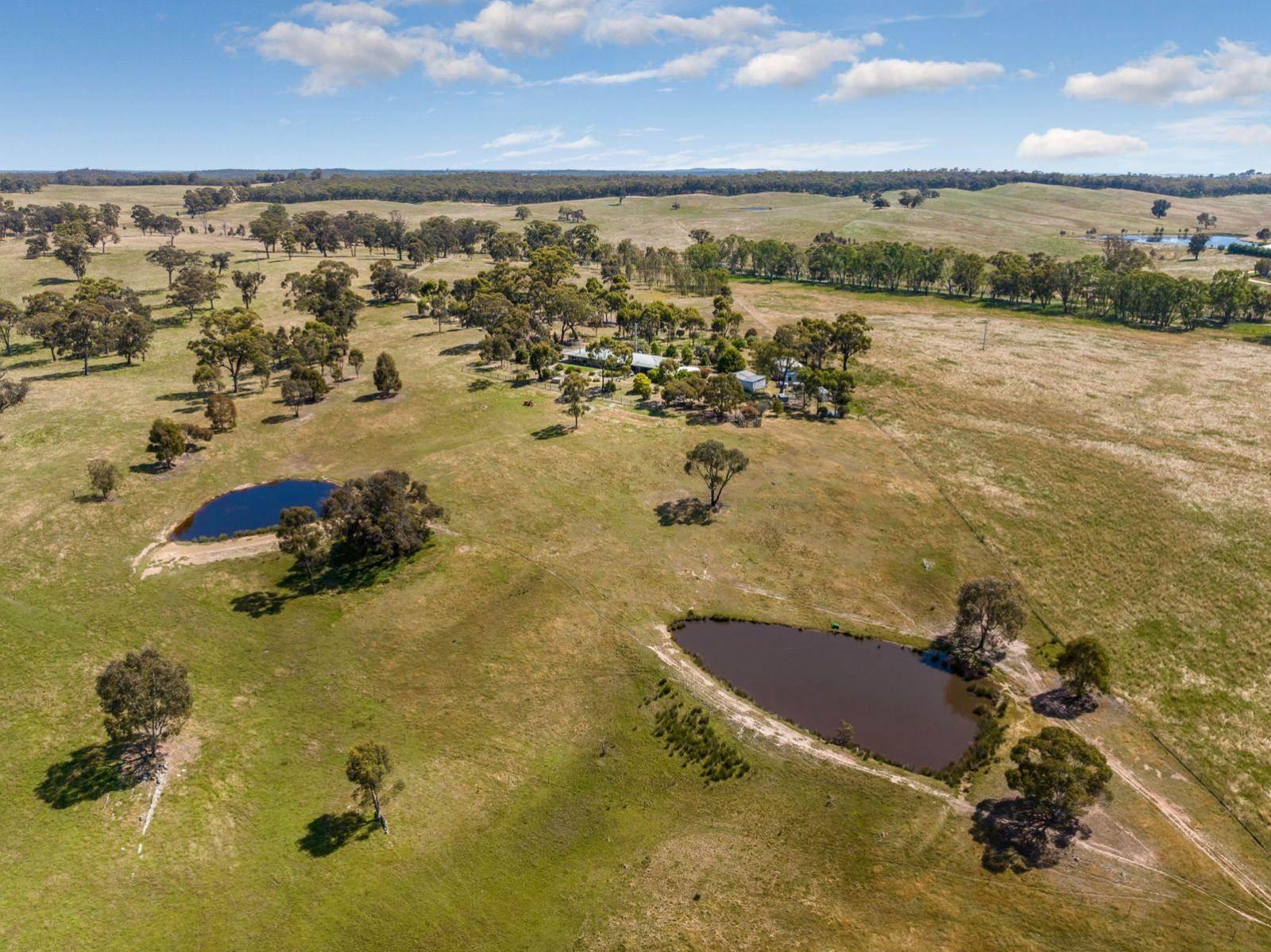 Rural Properties For Sale Bendigo VIC