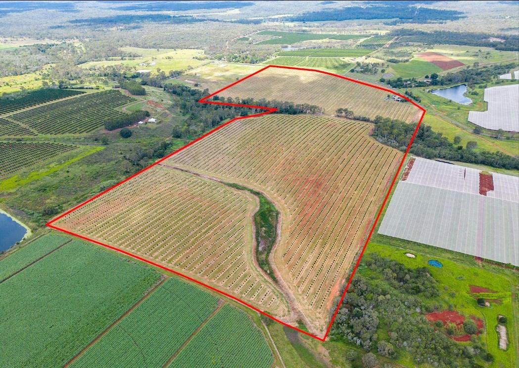 Discover Your Dream Rural Property For Sale Bundaberg And Wide