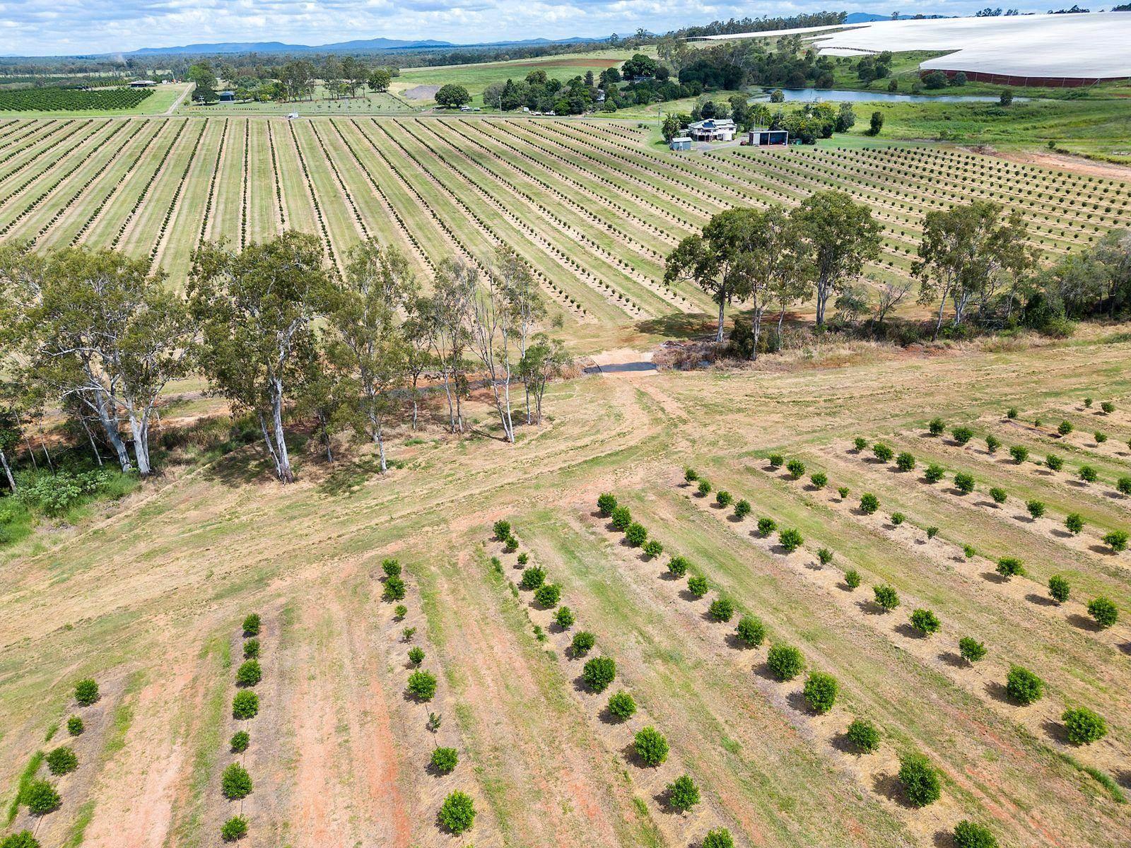 Rural Property For Sale Bundaberg And Wide Bay Burnett