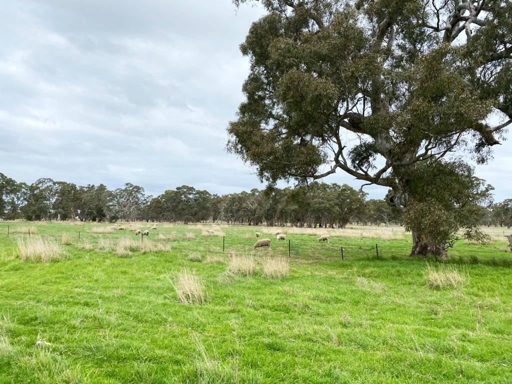 This rural property for sale South Australia 