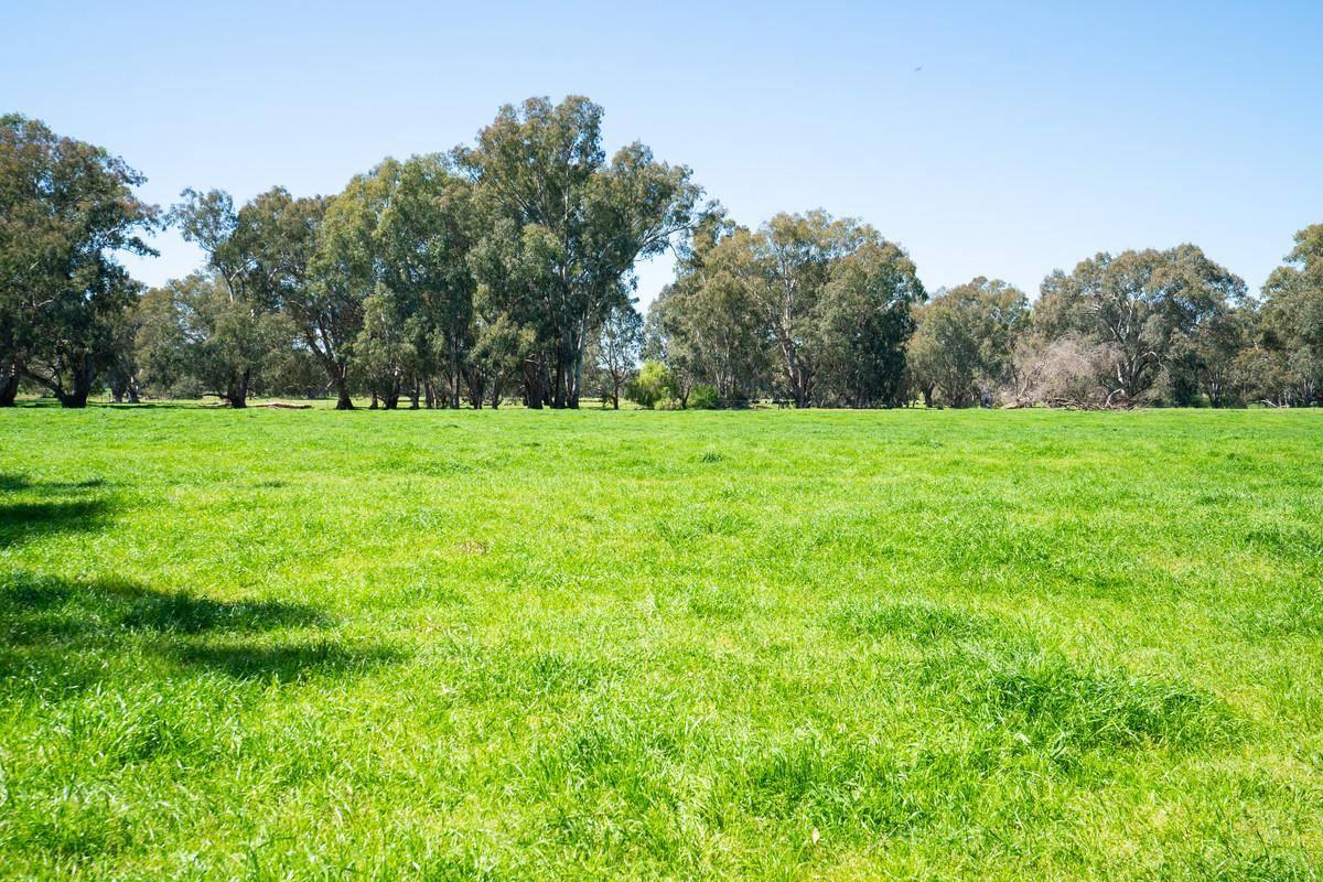 Rural Properties For Sale Wangaratta