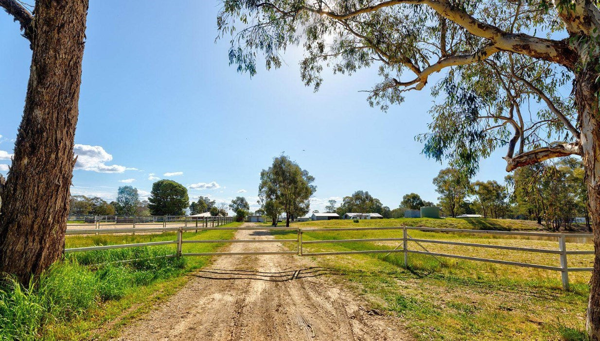 Rural Real Estate For Sale Temora NSW