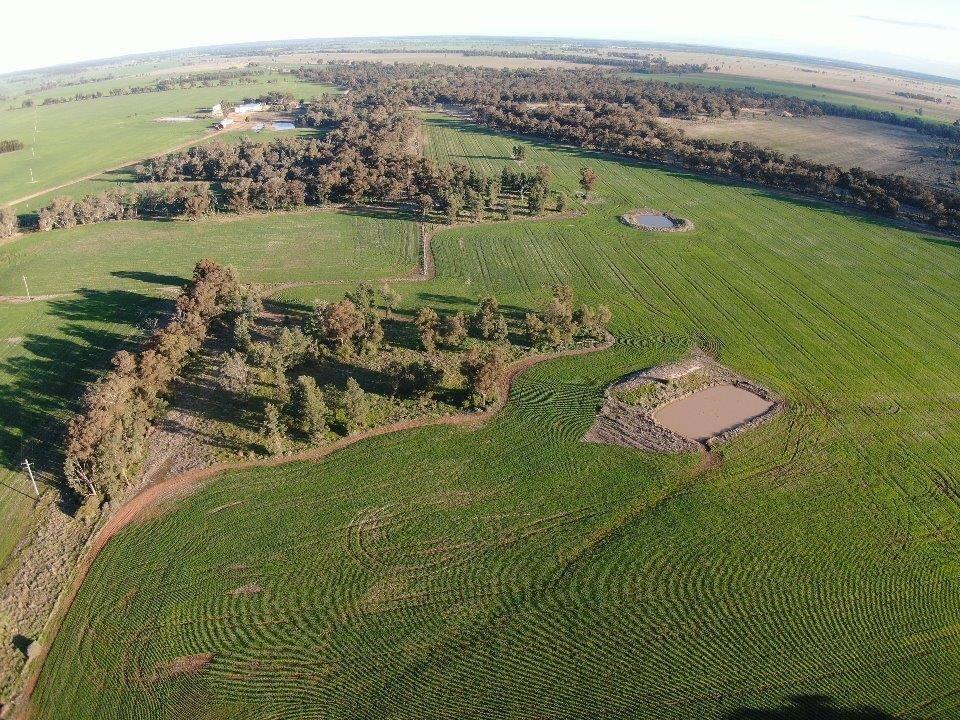 Rural Real Estate For Sale Temora NSW