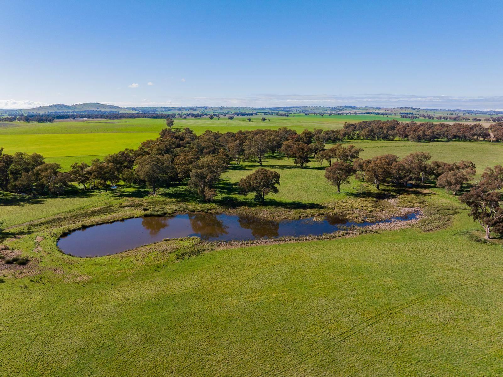 Rural Real Estate For Sale Temora NSW