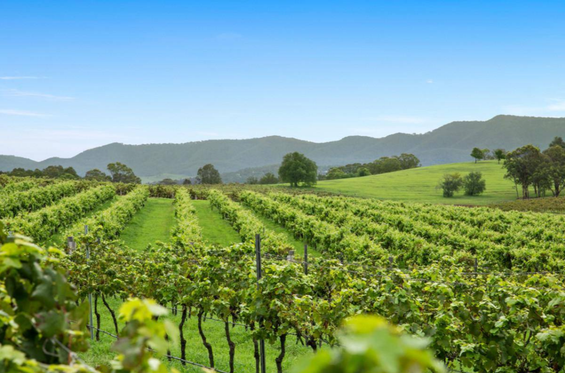 Wineries For Sale Australia