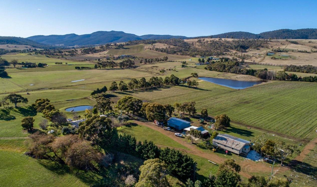 Wineries For Sale