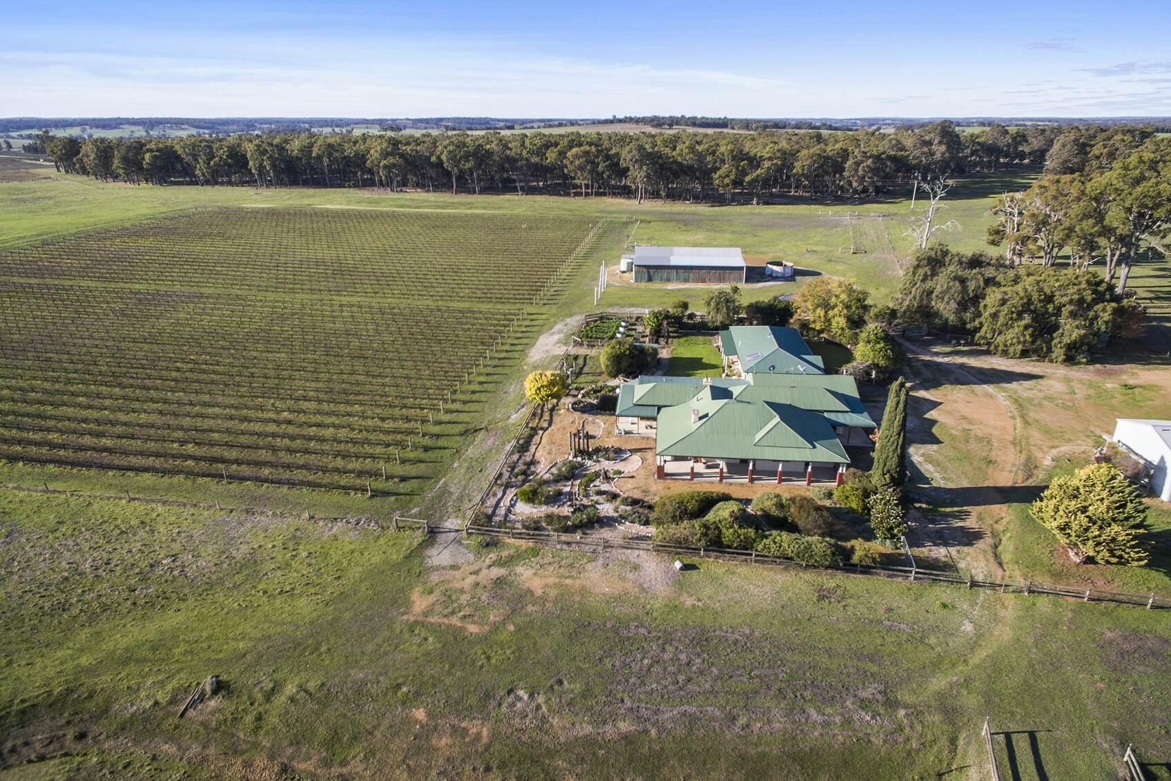 Wineries For Sale Australia