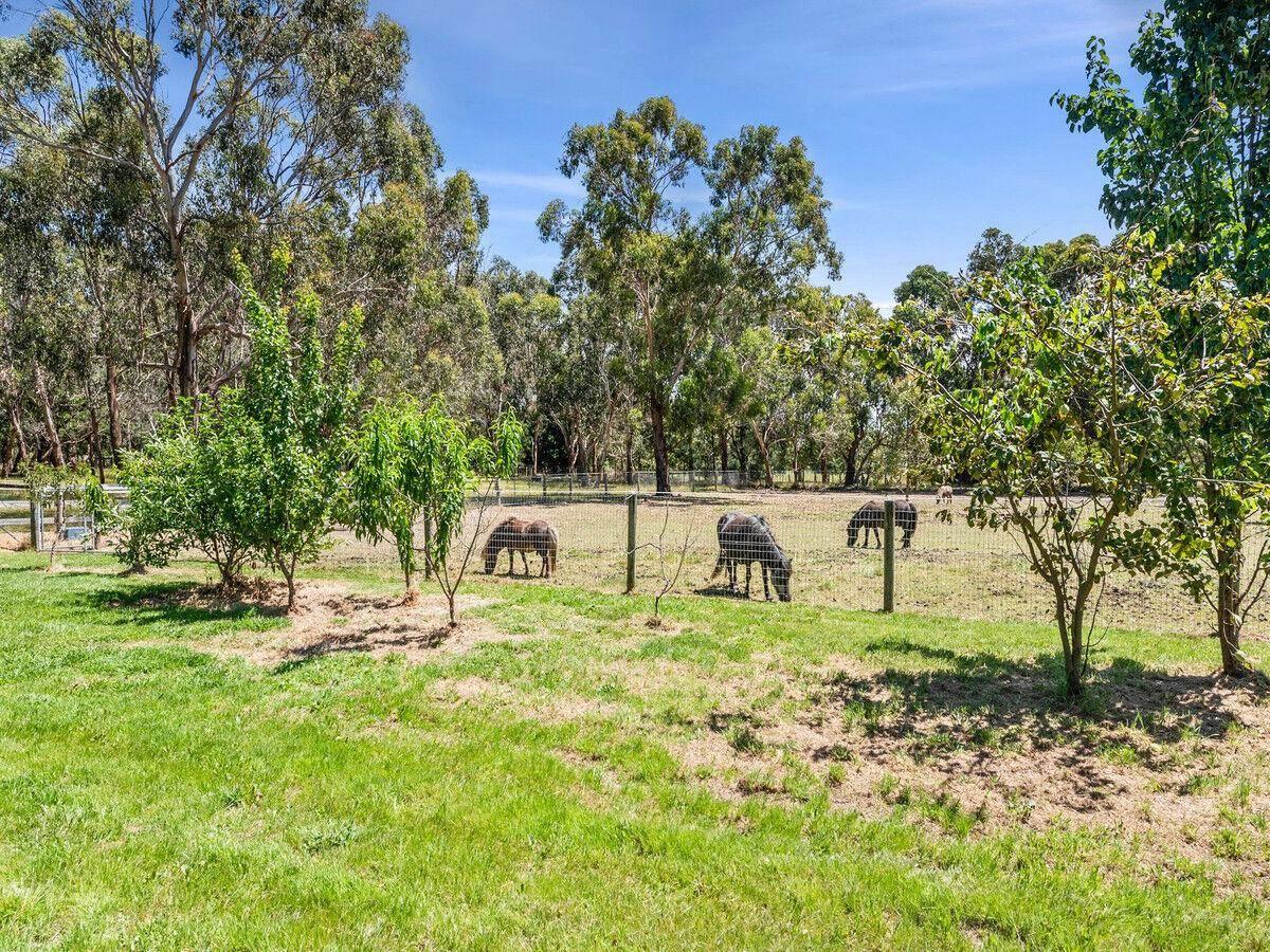 Rural Property For Sale Mornington Peninsula