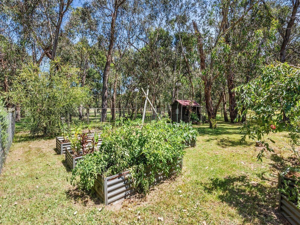 Tranquil Rural Property For Sale Mornington Peninsula