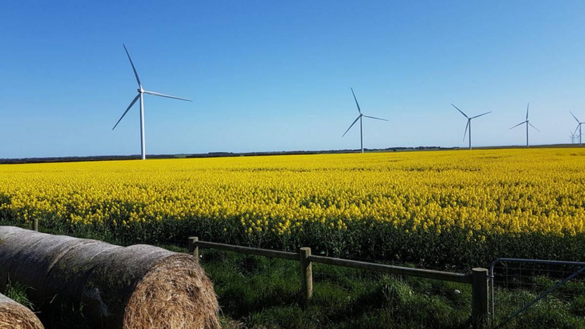 Mixed Farm For Sale South-West Victoria