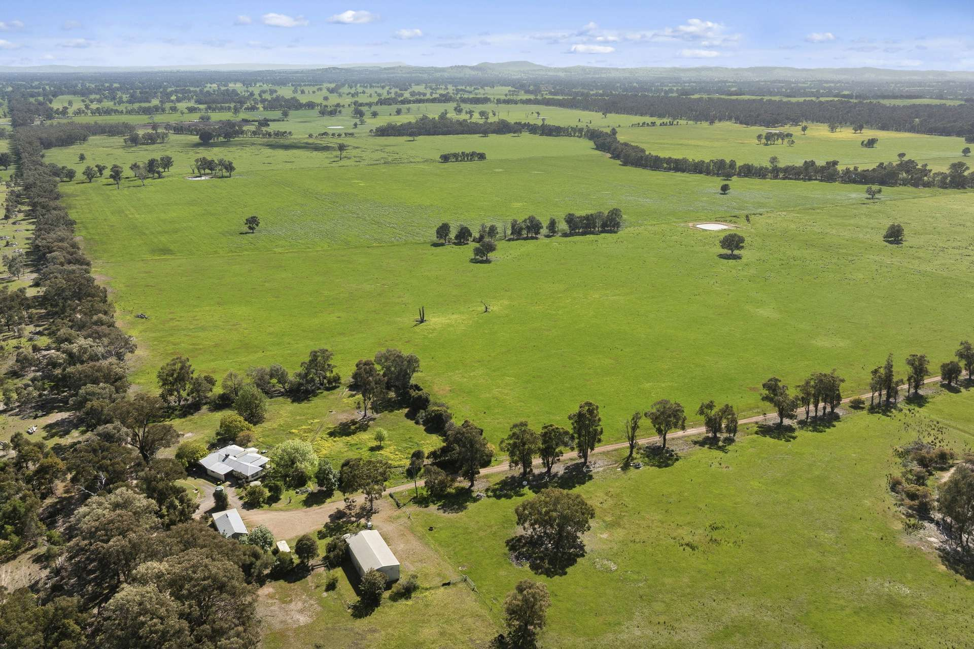 cattle property for sale VIC