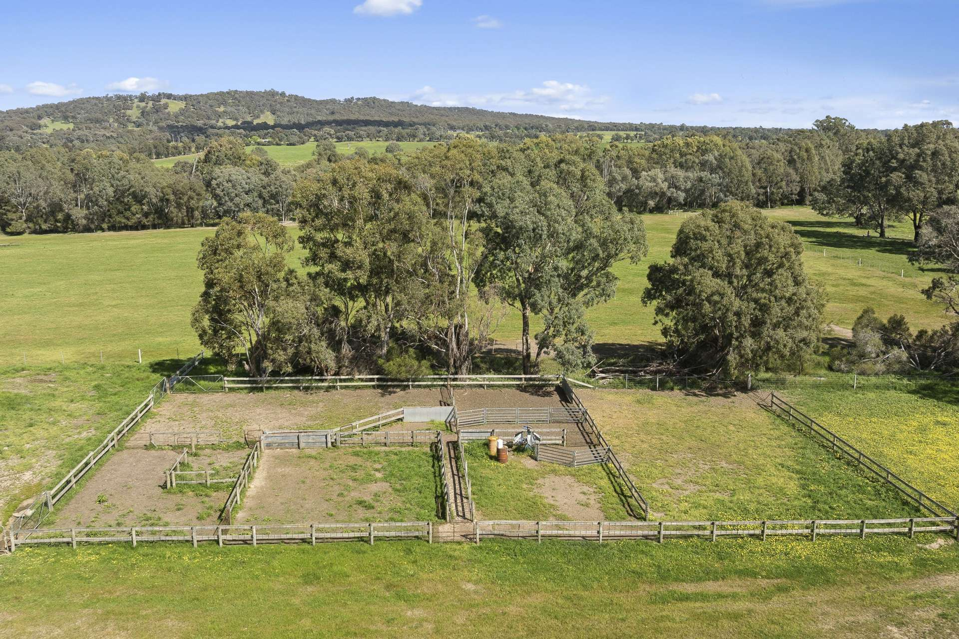 cattle property for sale VIC