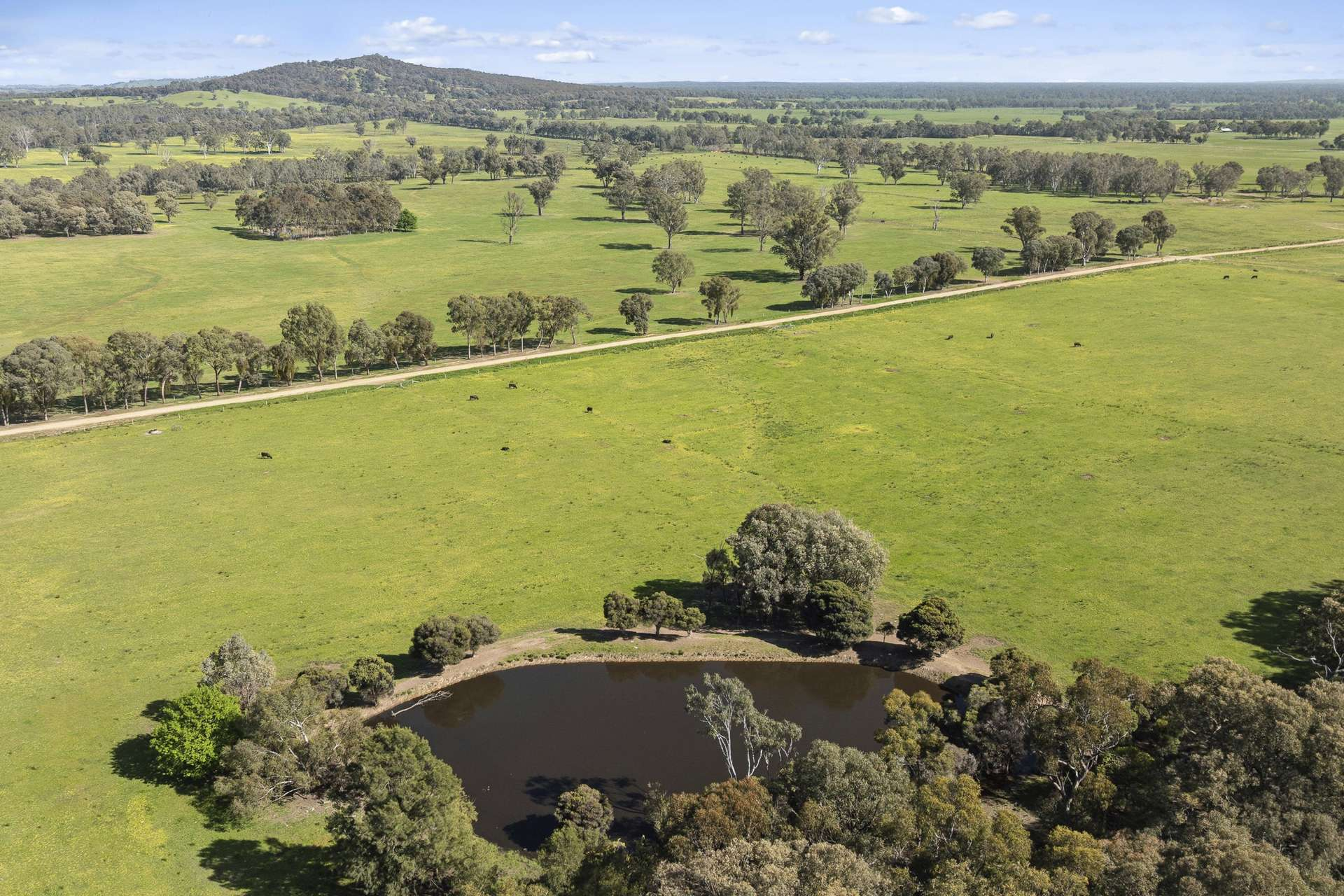 cattle property for sale VIC