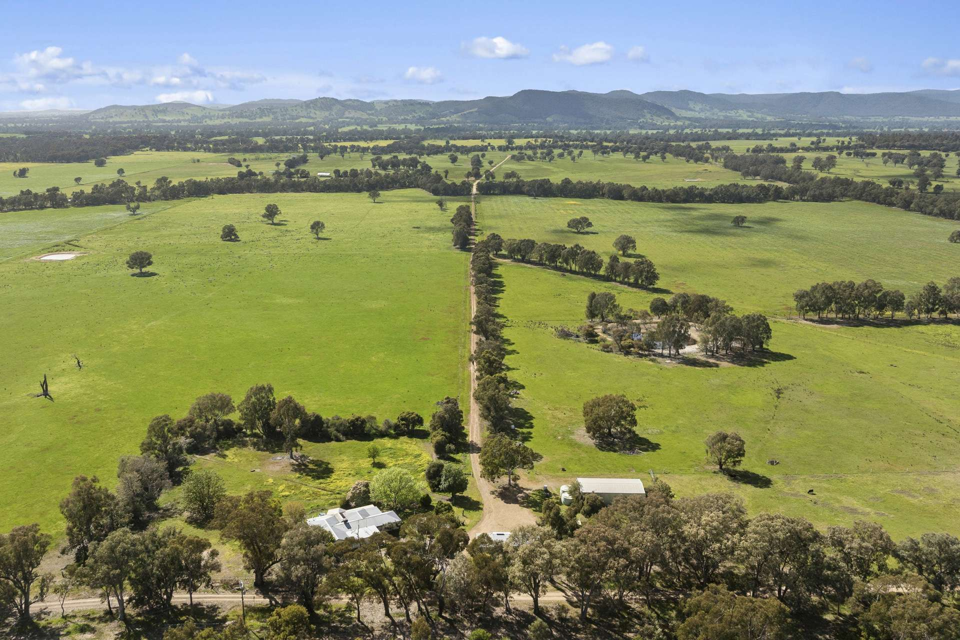 cattle property for sale VIC