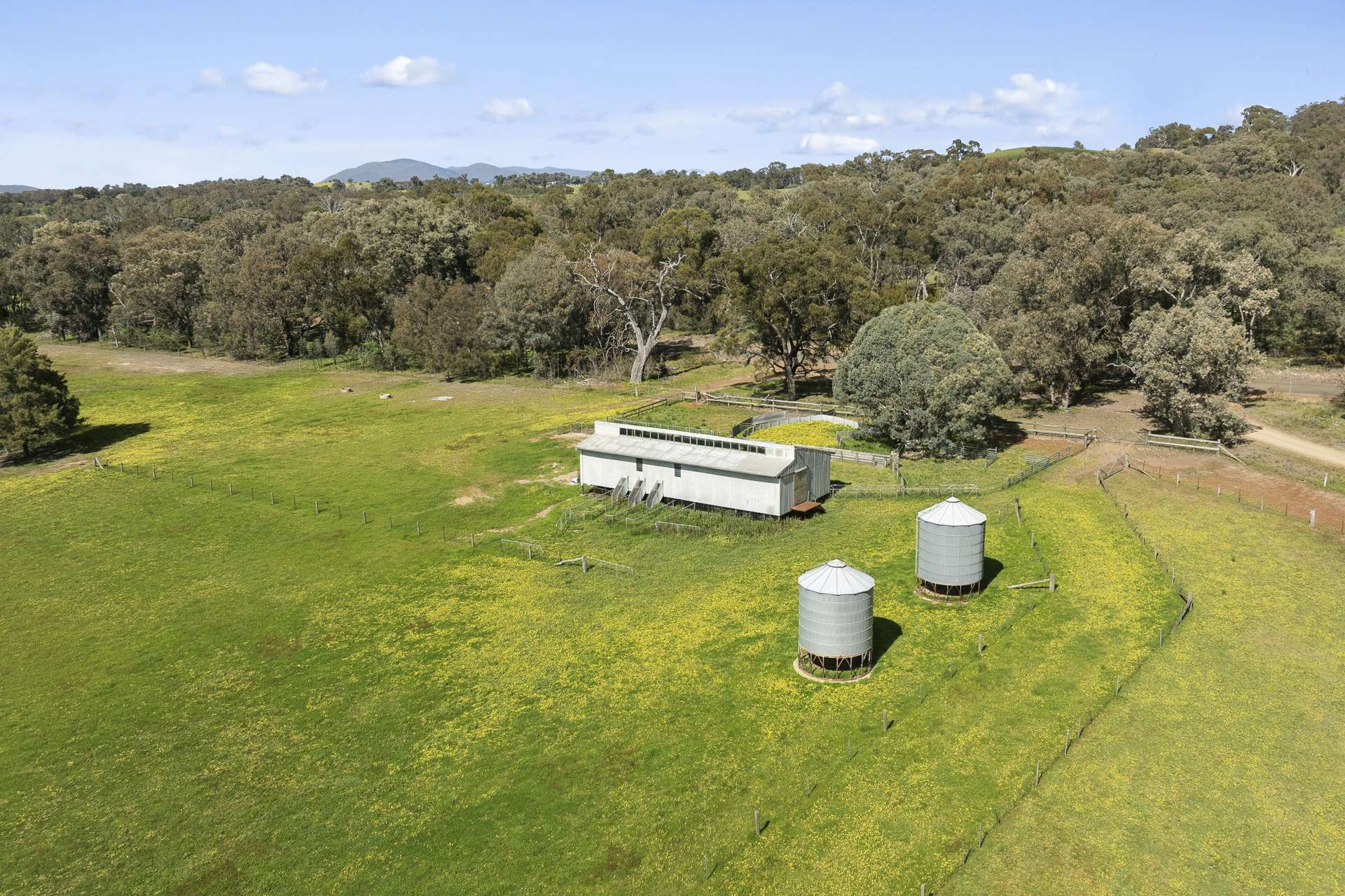 cattle property for sale VIC