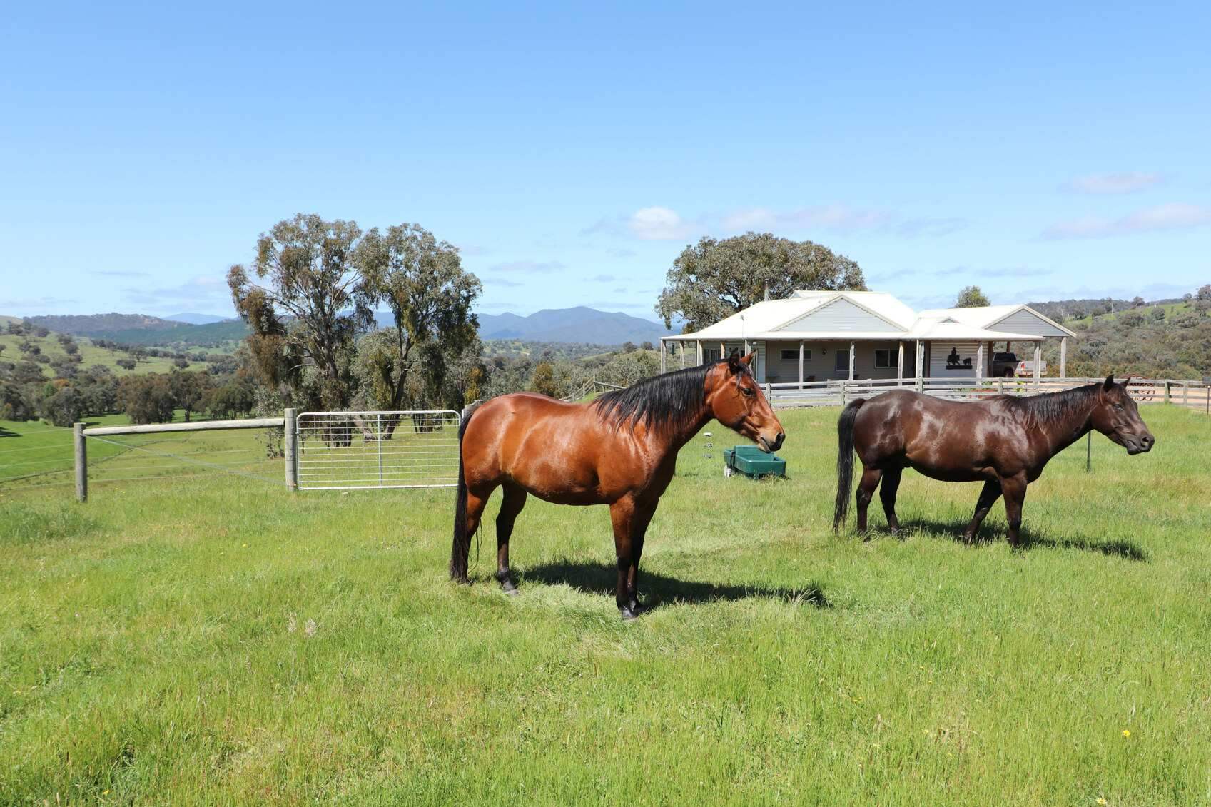 Rural Property For Sale Victoria