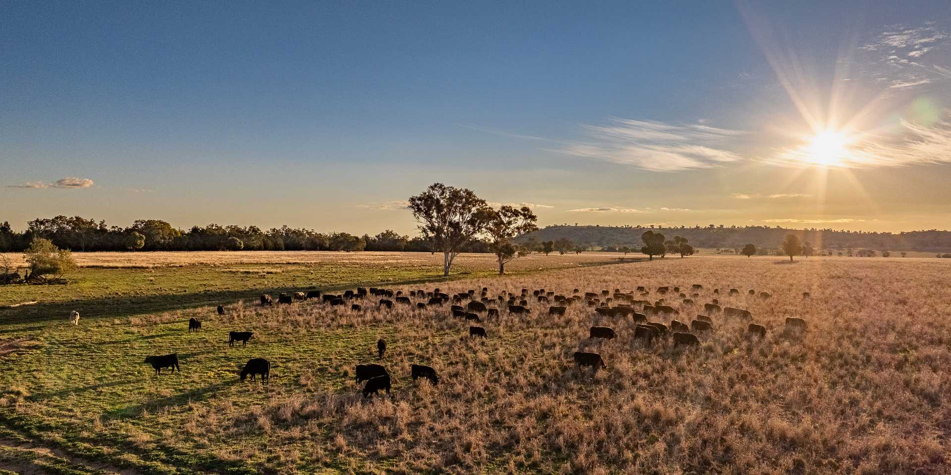 rural property for sale NSW