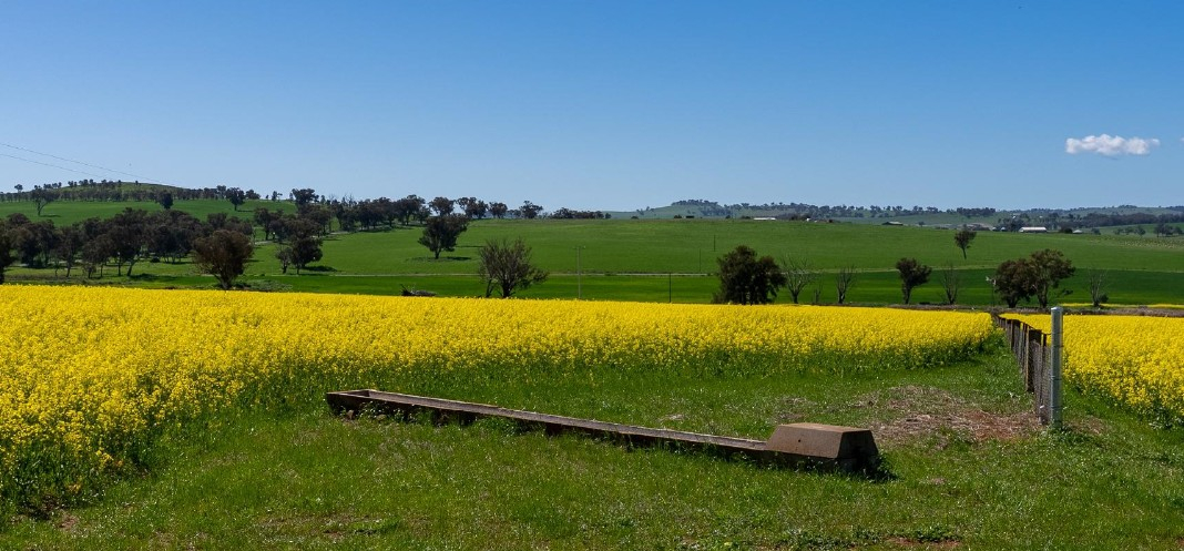Farm For Sale NSW