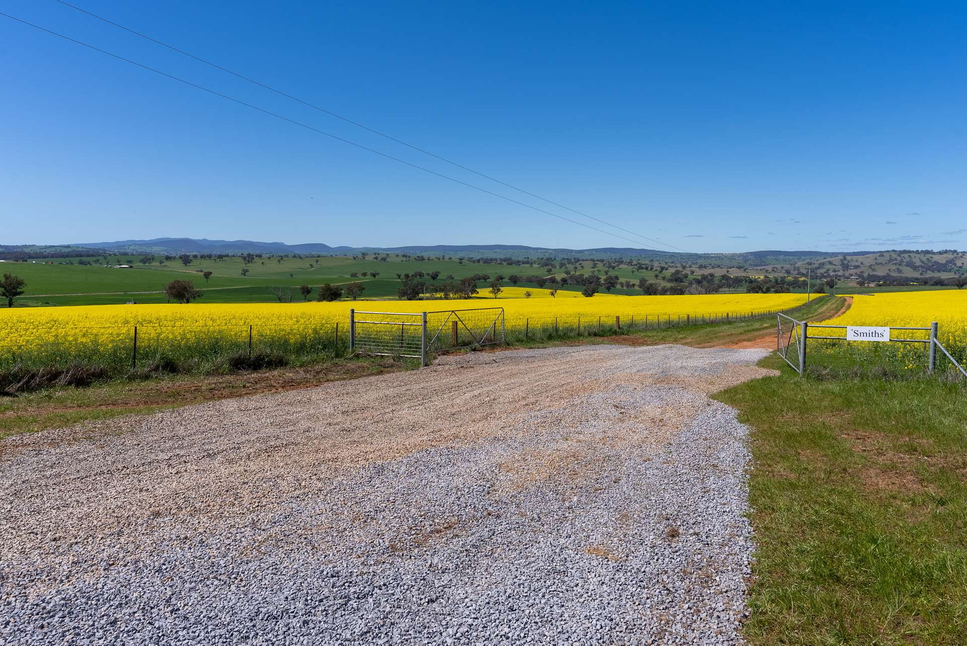 Farm For Sale NSW