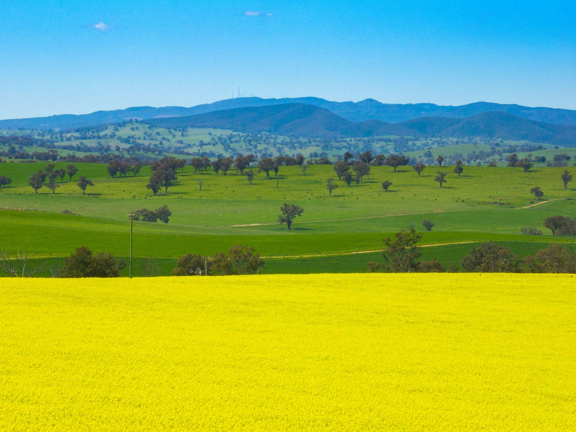 Farm For Sale NSW