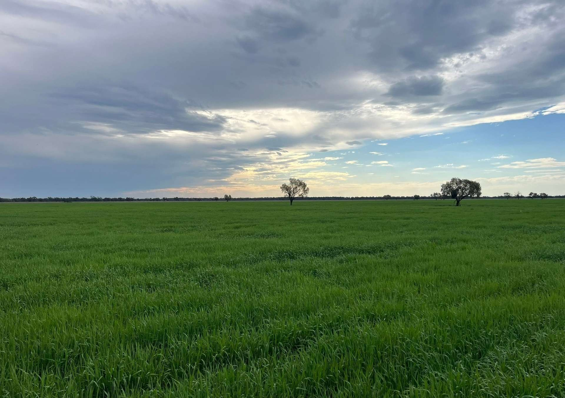 farm for sale NSW