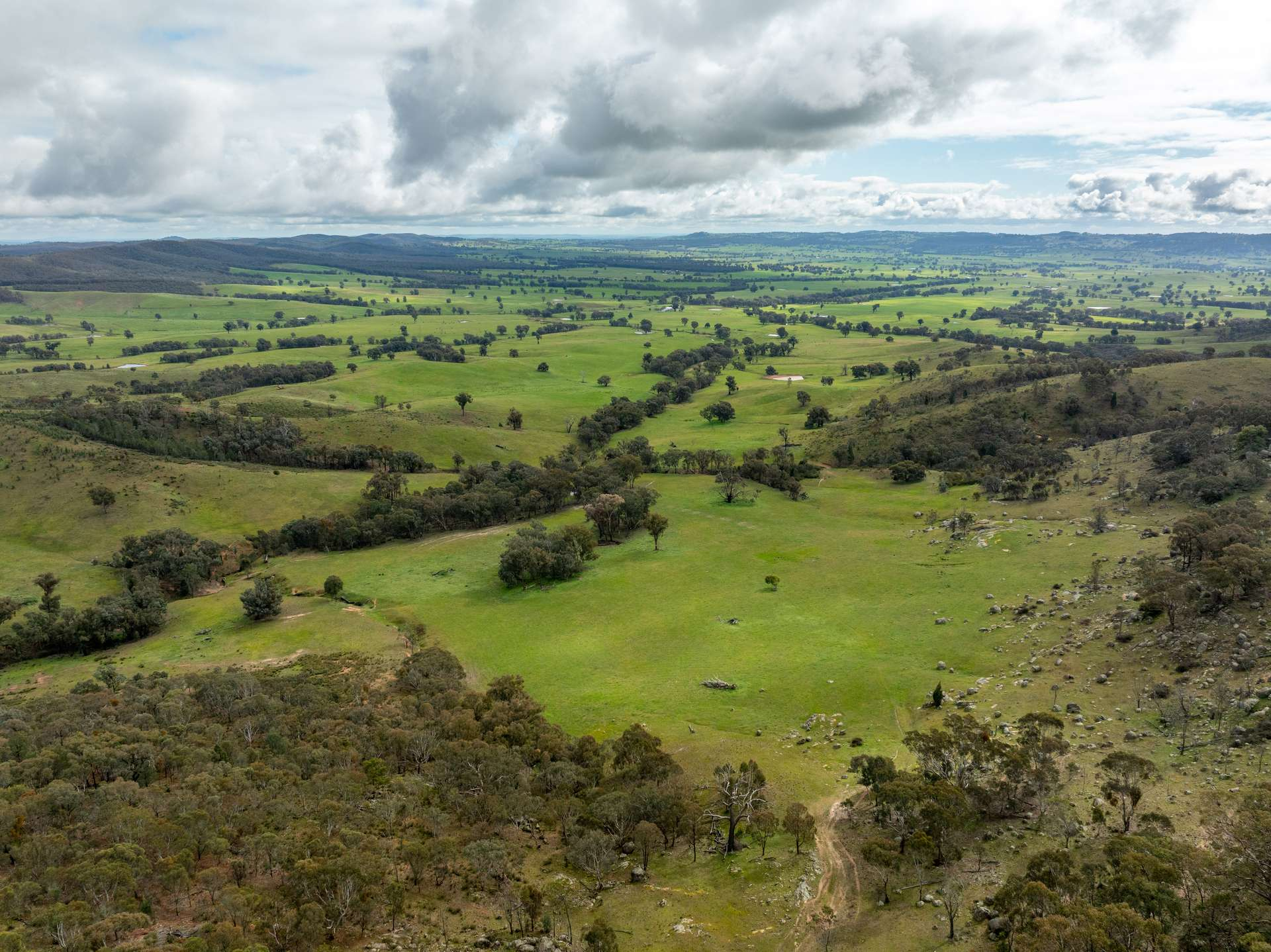 cattle property for sale nsw