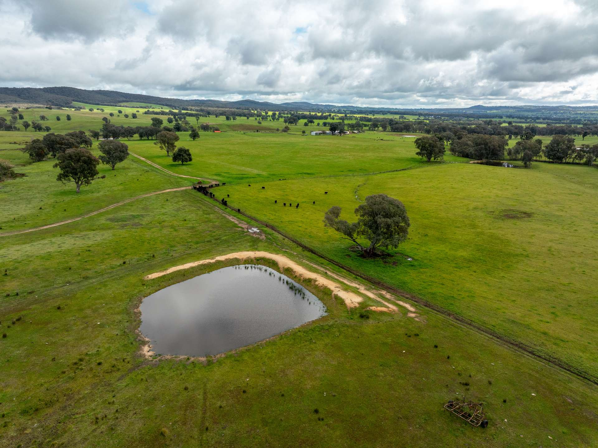 cattle property for sale nsw