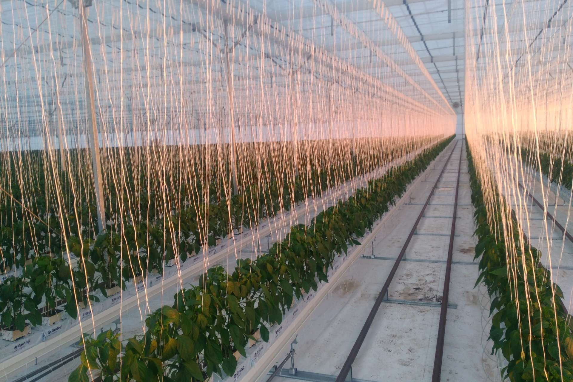 farm for sale QLD