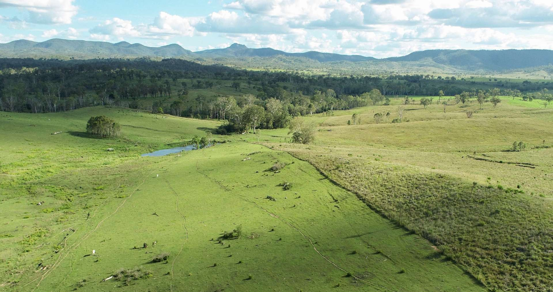 Cattle Property For Sale QLD