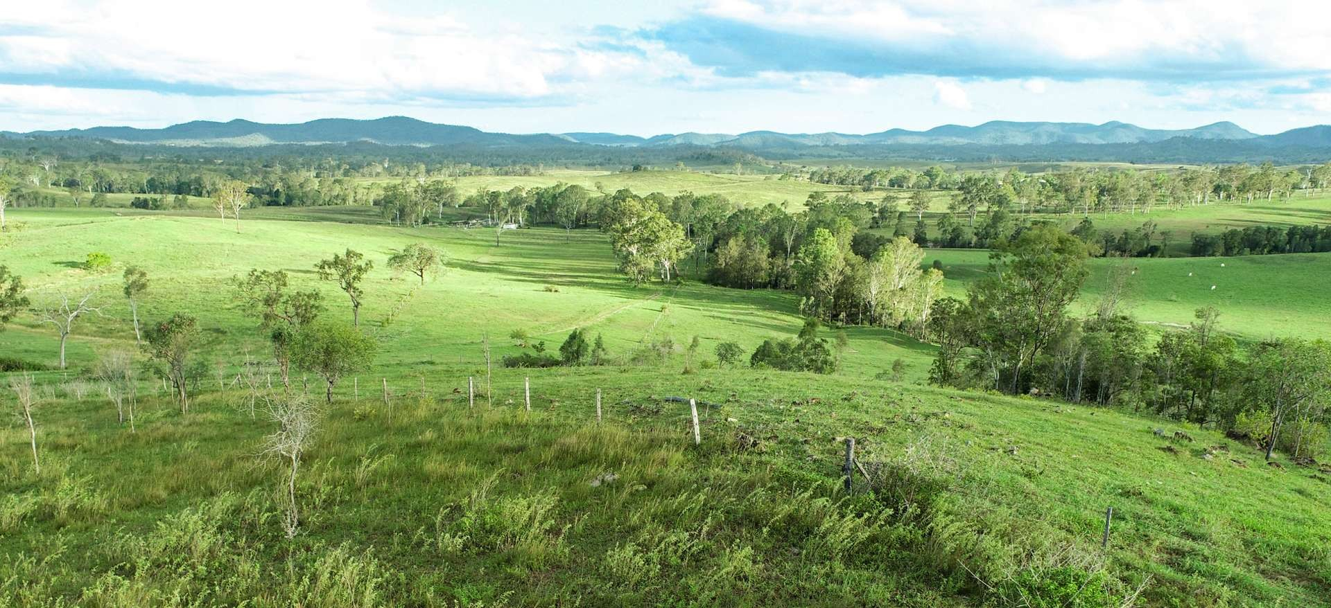 Cattle Property For Sale QLD