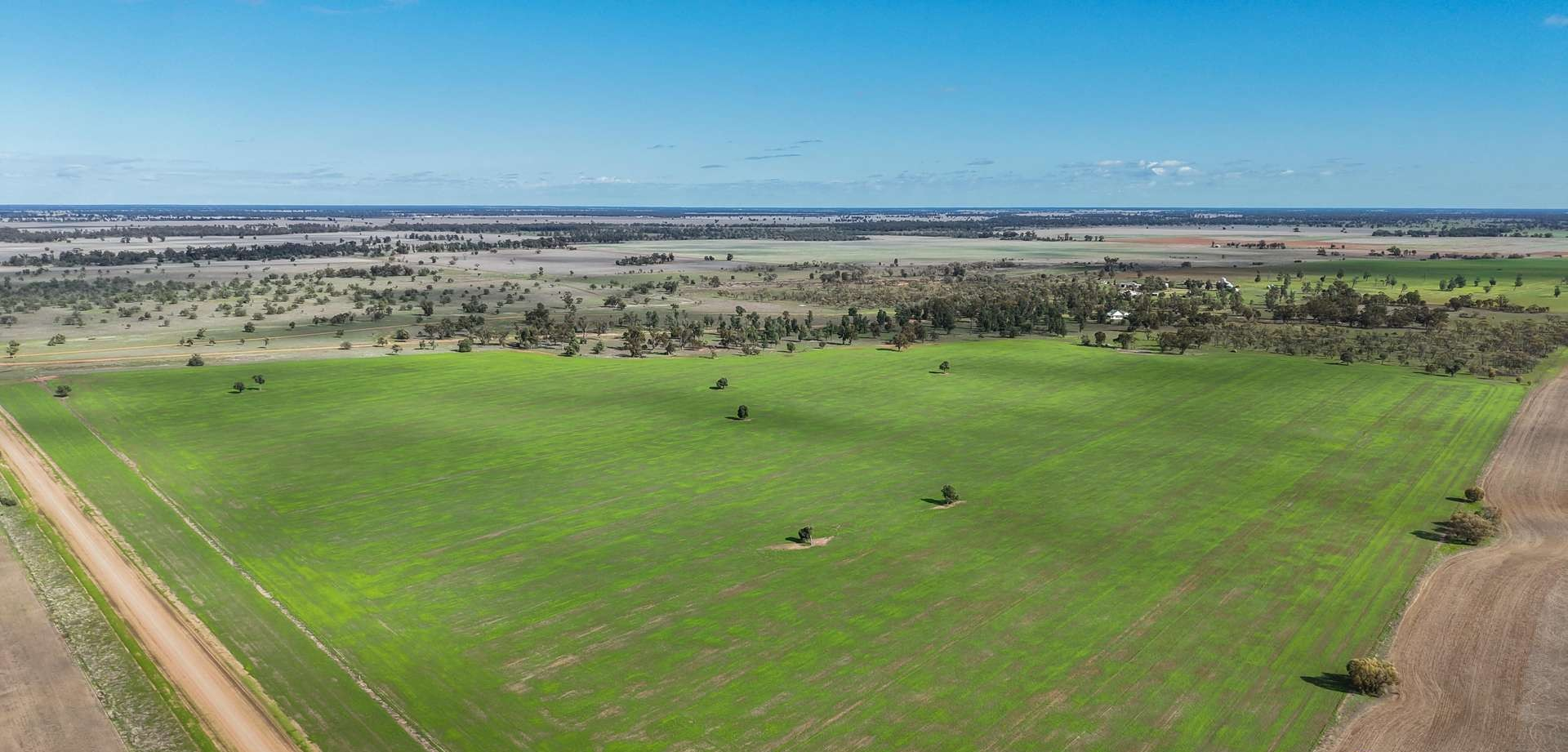 Mixed Farm For Sale NSW
