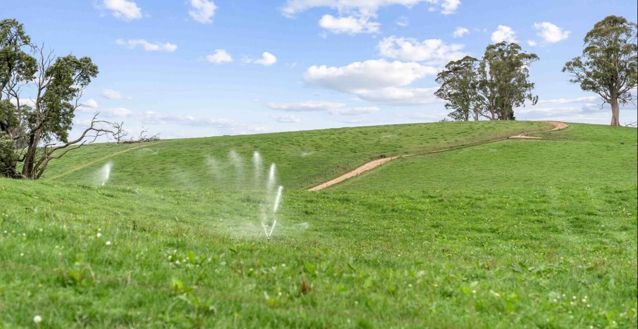 Dairy Farm For Sale Tasmania