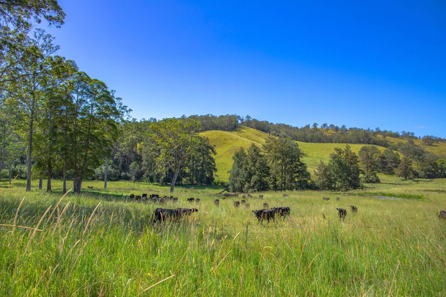 rural property for sale Kempsey region NSW