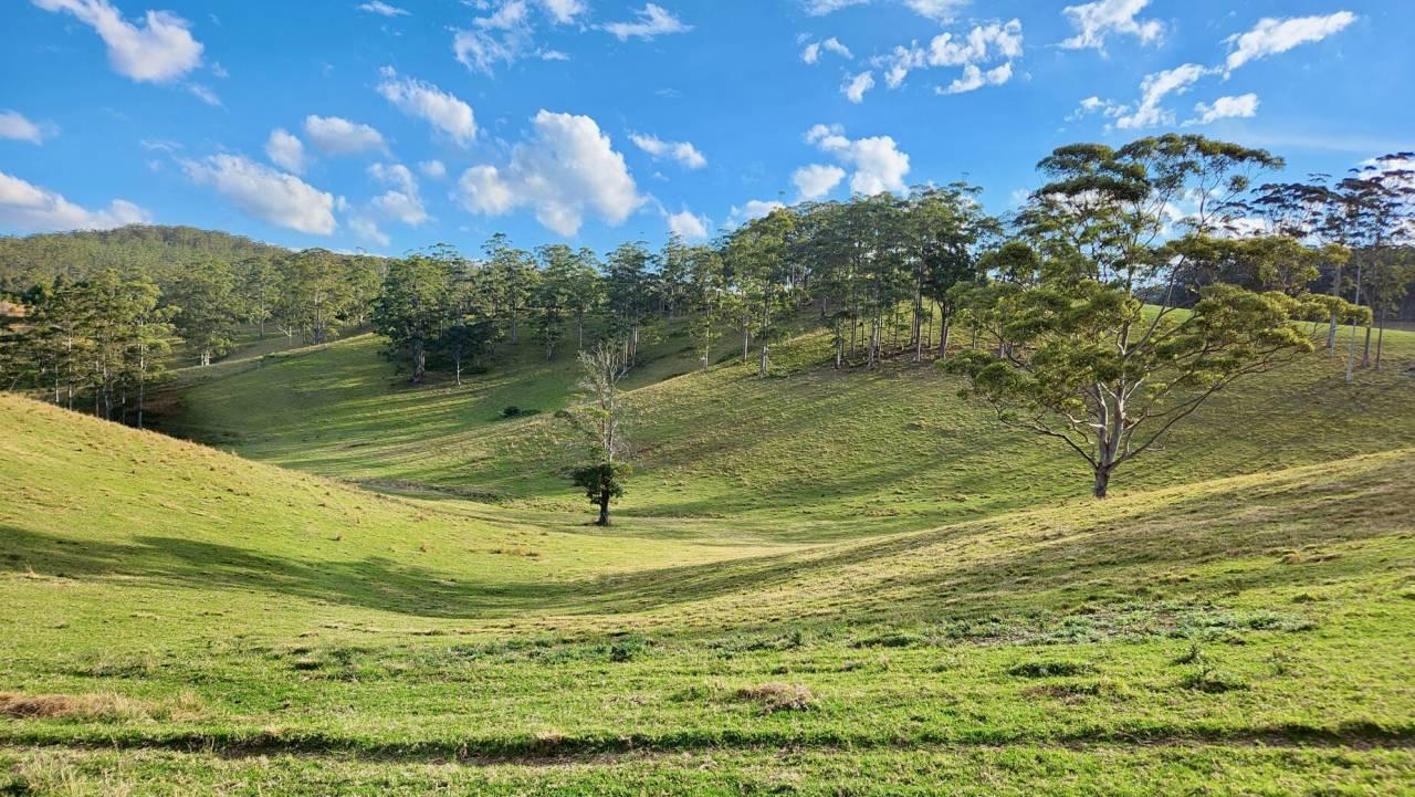 rural property for sale Sunshine Coast Hinterland