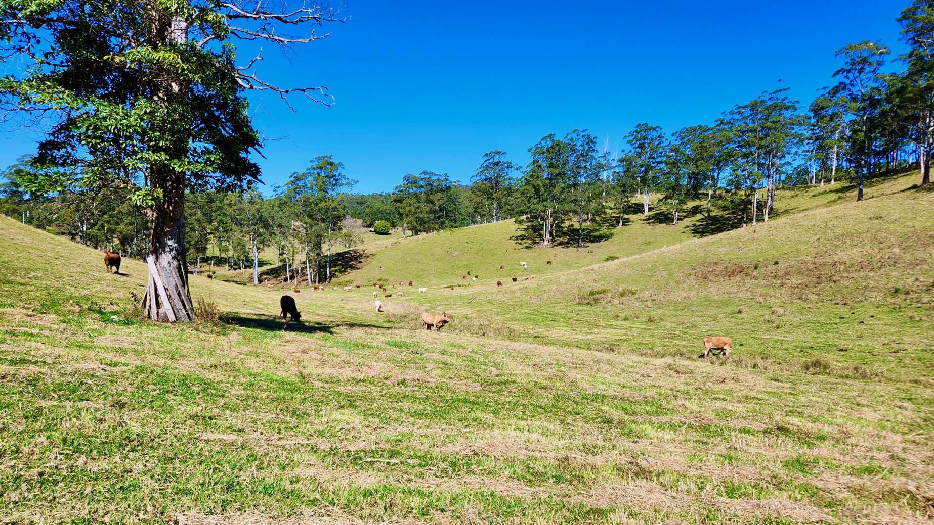 rural property for sale Sunshine Coast Hinterland