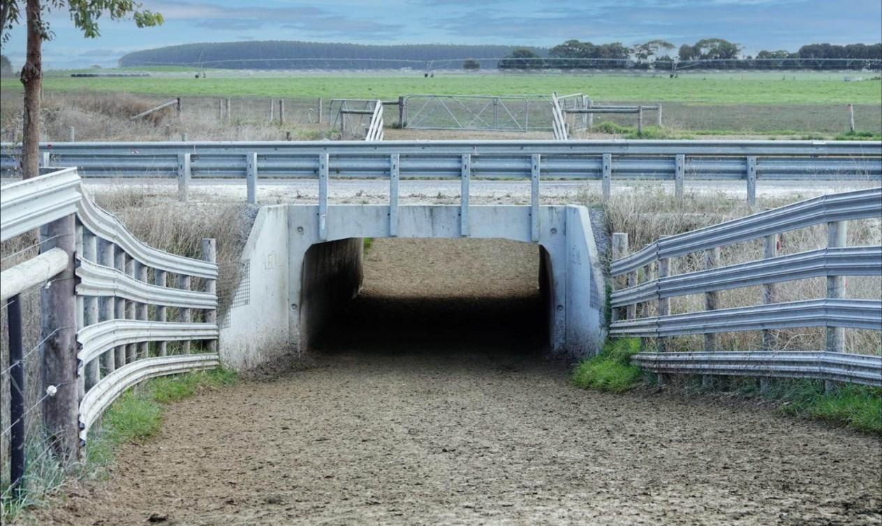 dairy farm for sale South Australia