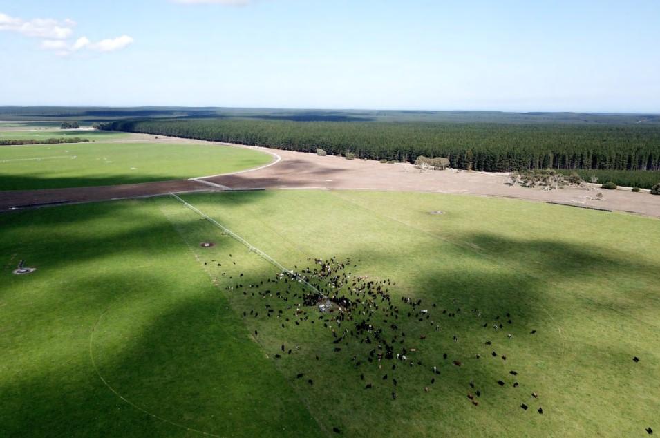 dairy farm for sale South Australia