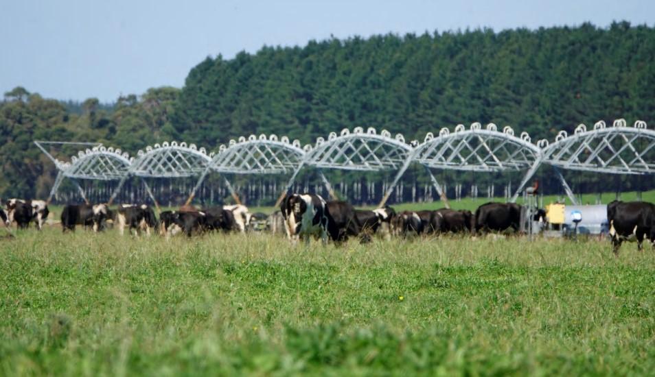 dairy farm for sale South Australia