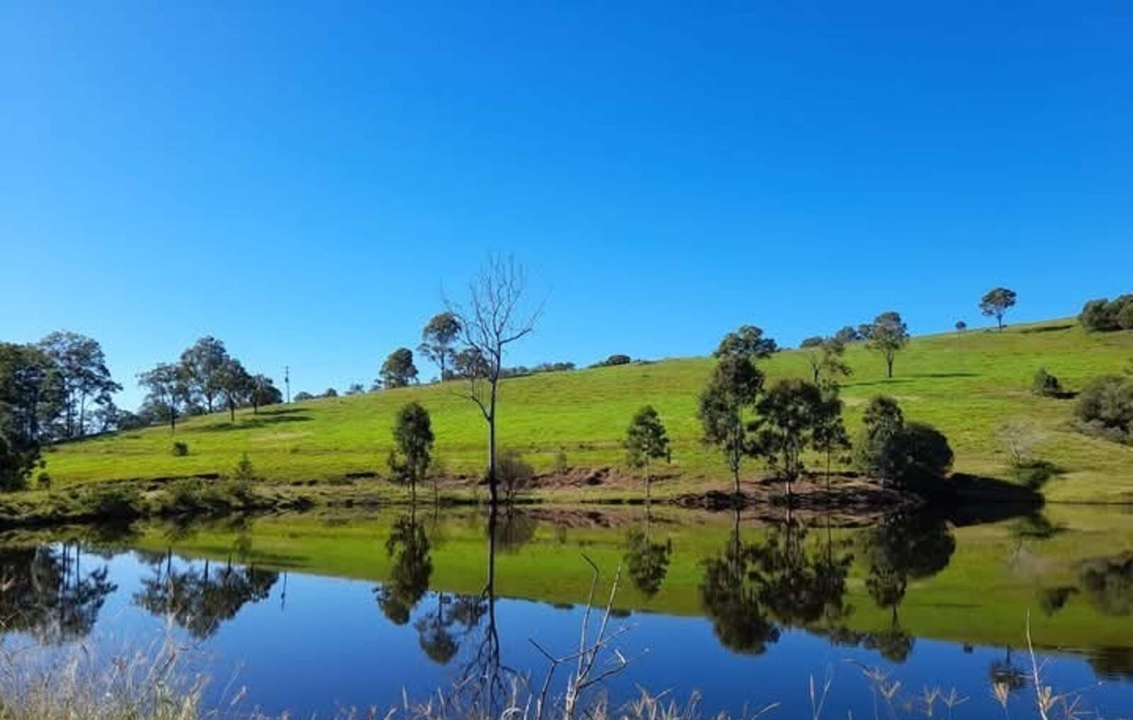 rural property for sale QLD