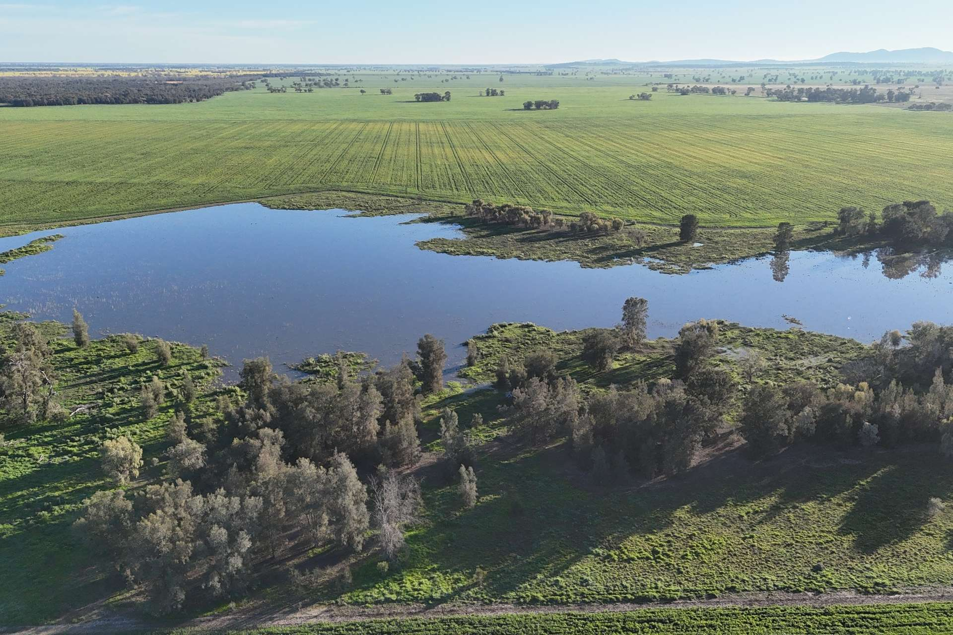 NSW Farm For Sale