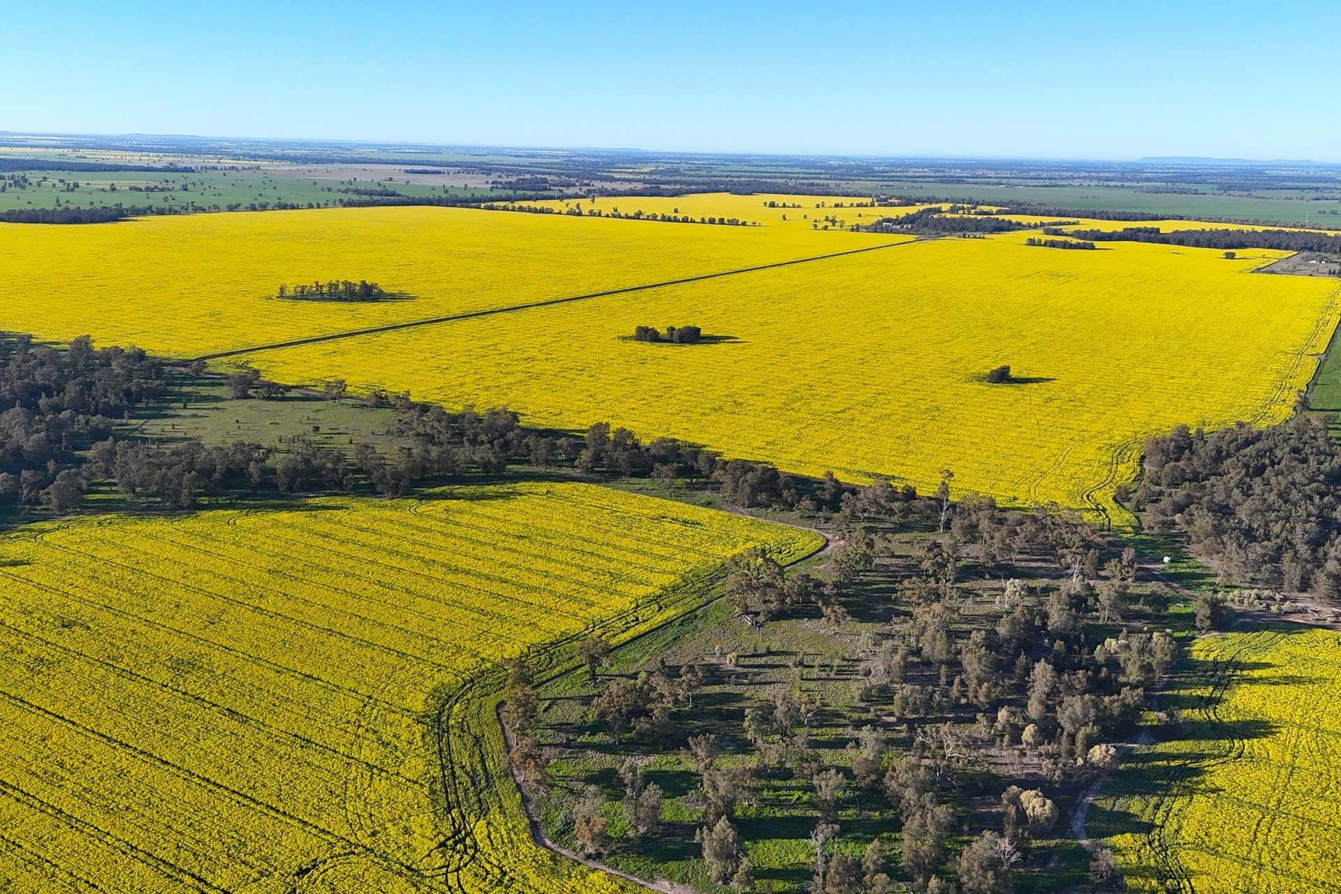 NSW Farm For Sale