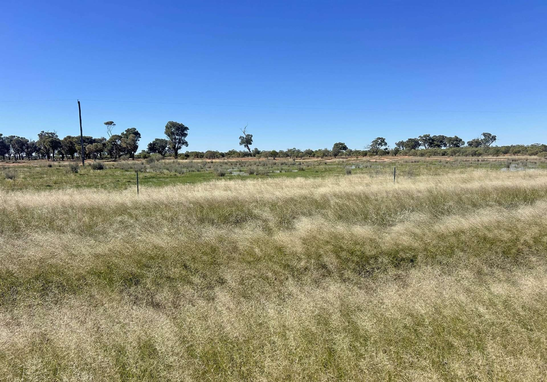 Livestock Property For Sale NSW