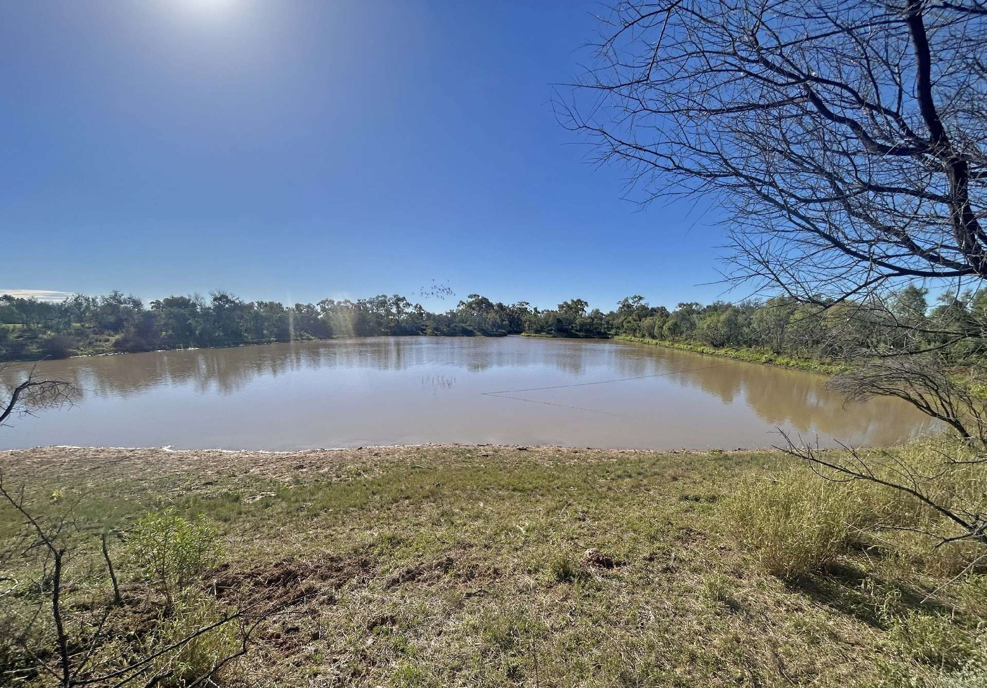 Livestock Property For Sale NSW