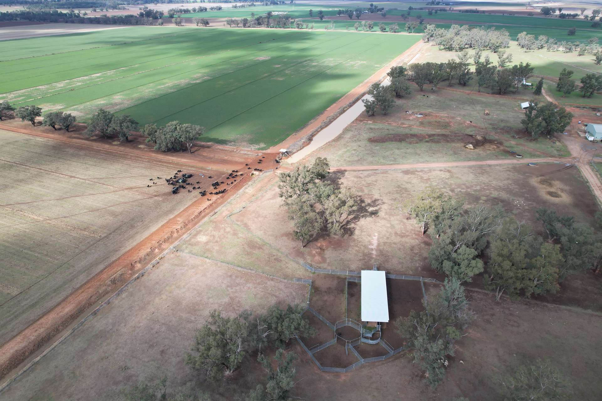 mixed farm for sale NSW