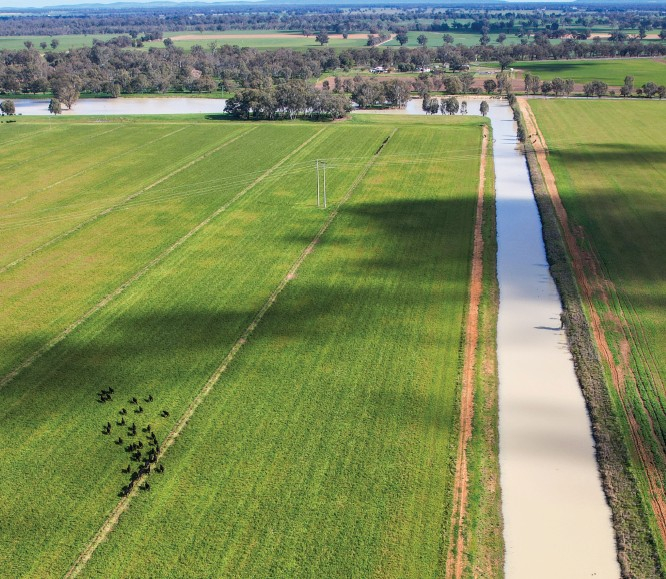 mixed farm for sale NSW